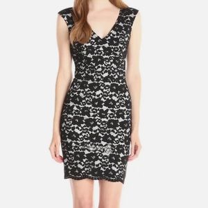 French Connection Lace Sheath Dress | black | xs